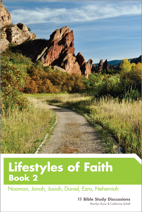 Lifestyles of Faith, Book 2