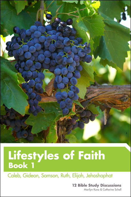 Lifestyles of Faith - Book 1